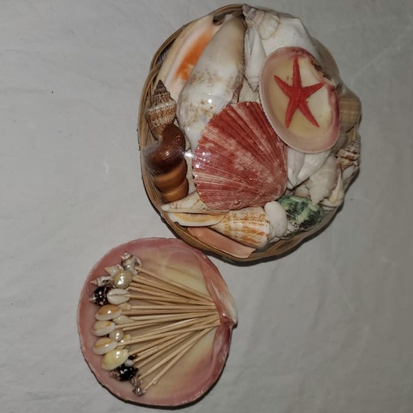 Decorative shell accents - Picture 1 of 5
